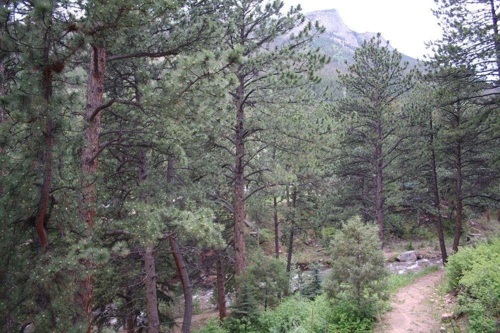 Fawn Valley Inn Estes Park Exterior photo